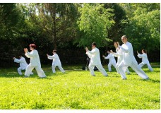  The Essential Guide to Tai Chi for Beginners
