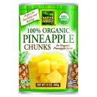 Native Forest Pineappleple Chunks (6x14 Oz)