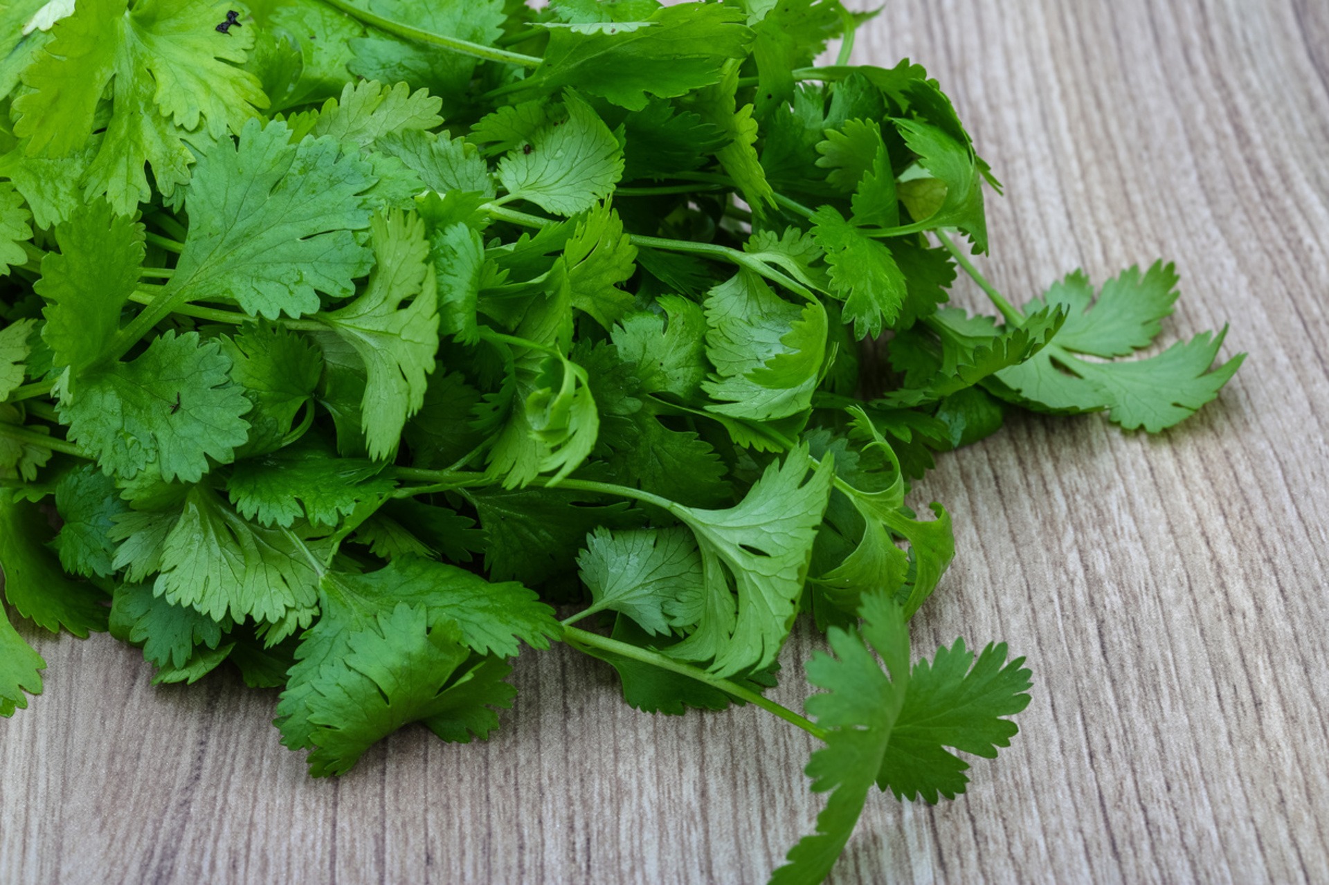  3 Health Benefits of Cilantro, According to a Nutritionist