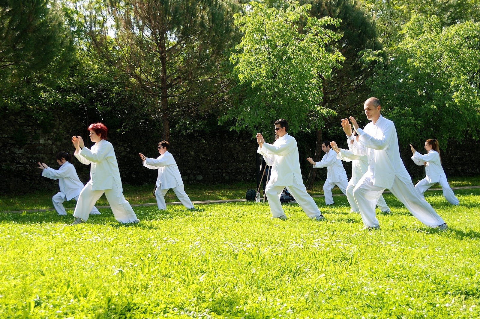 The Essential Guide to Tai Chi for Beginners